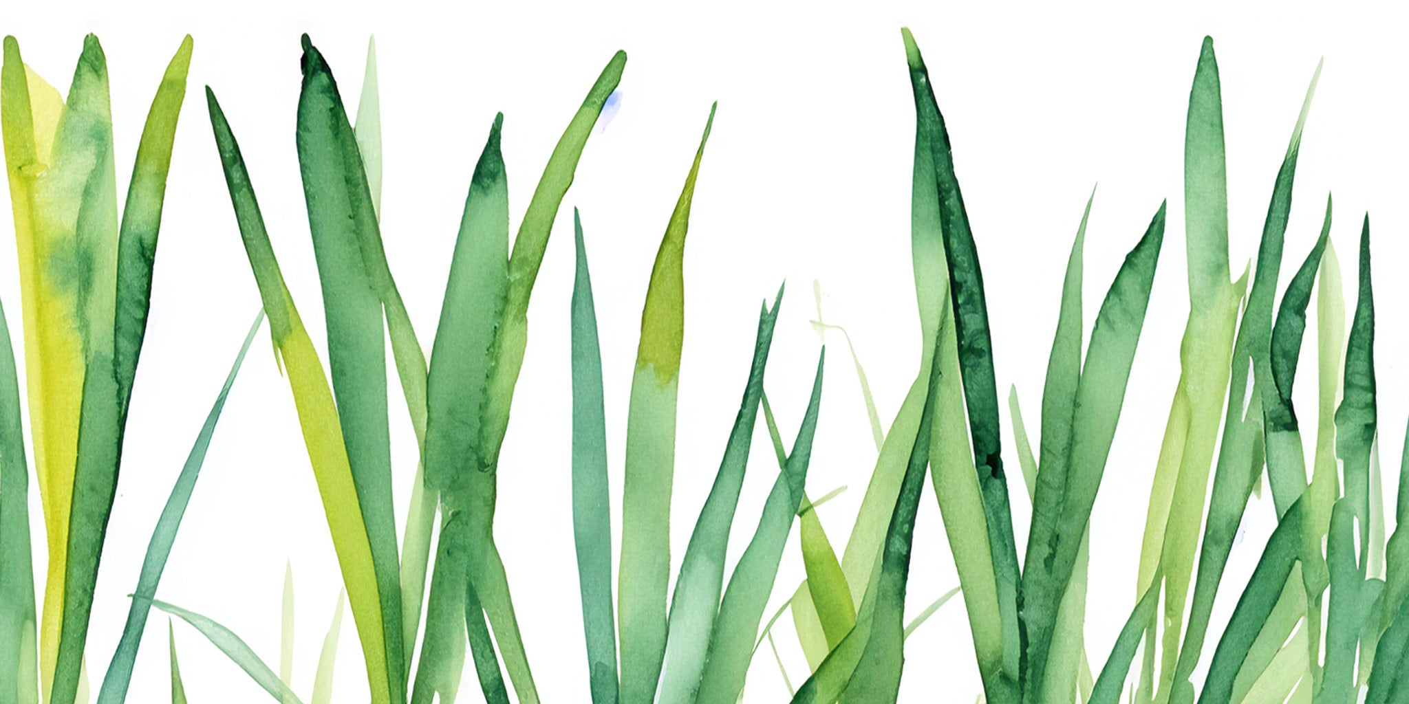 Parkminster's Lemongrass fragranced Soy Wax Candles, Reed Diffuers & Room Mists