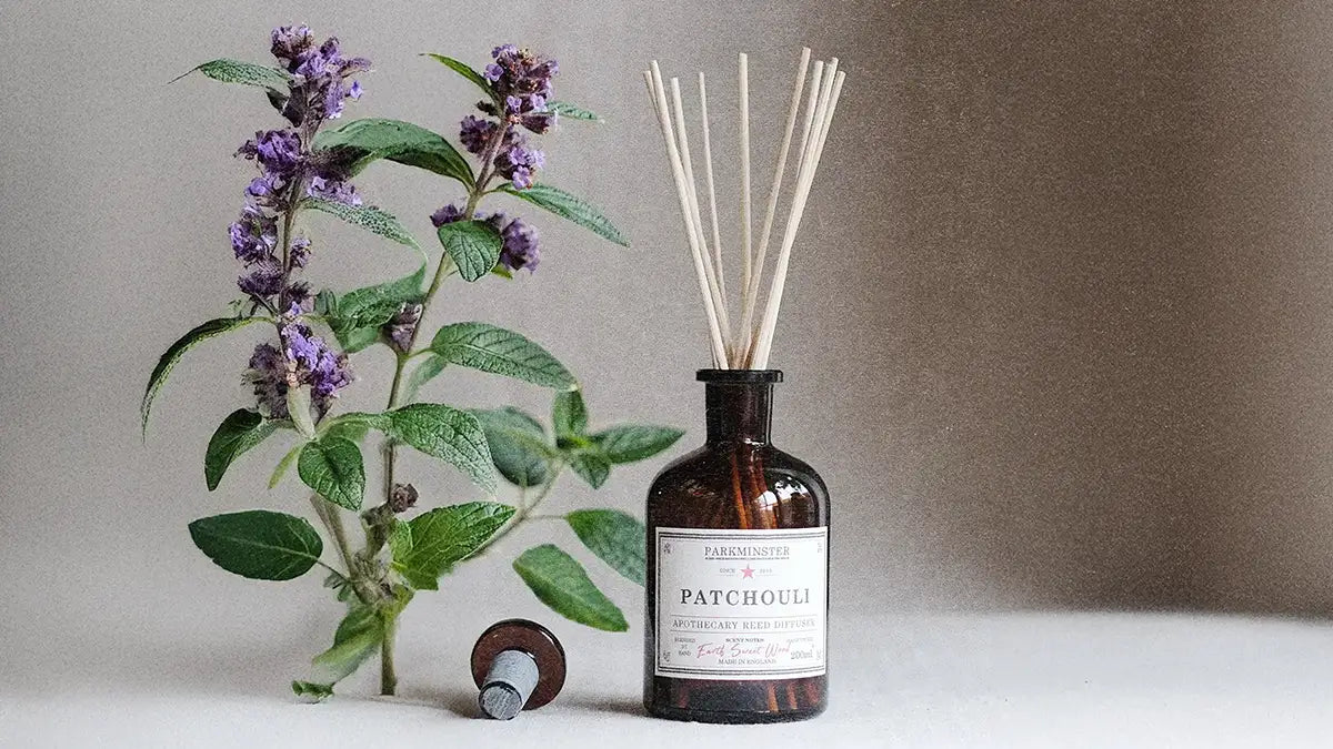 Parkminster Patchouli reed diffuser styled in a calm home setting, representing woody home fragrance scents featured in the guide to the best home fragrance scents for a calm and cosy home.