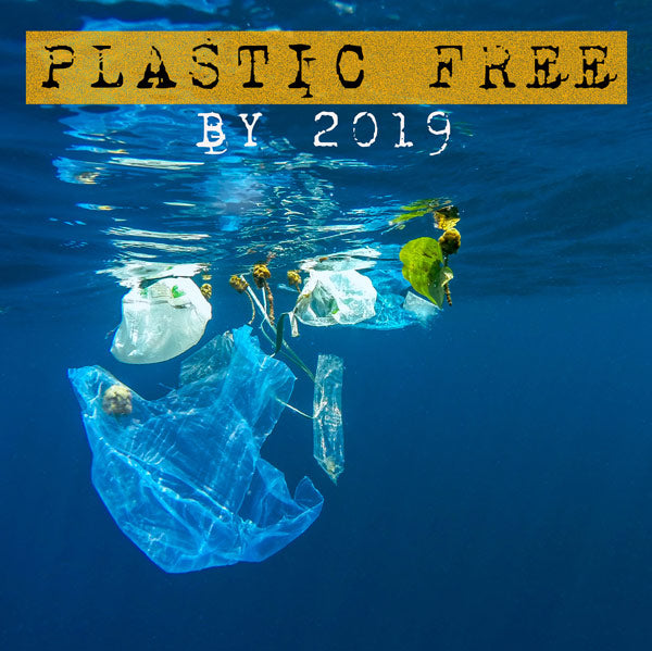 Plastic Free by 2019 - Parkminster