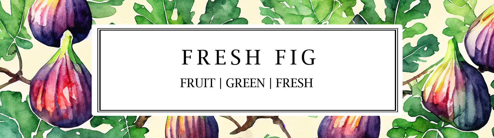 Like a verdant orchard, vibrant and lush, Parkminster's Fresh Fig fragrance paints a scene, of sun-kissed figs, ripe and serene.
