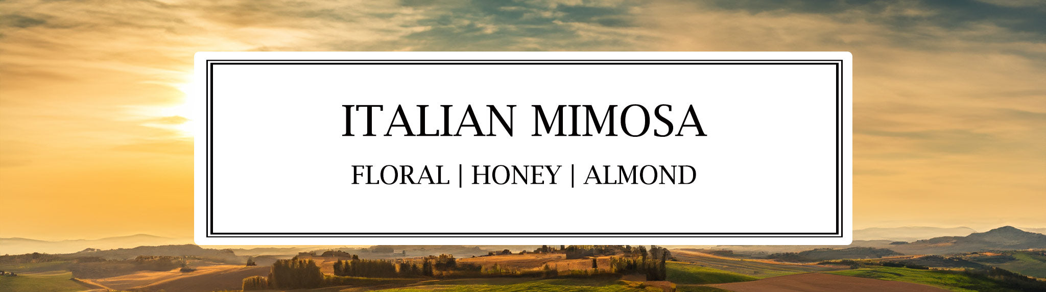Italian Mimosa - Parkminster Home Fragrance Co's Luxurious floral honeyed and almond scent. available in scented candles, reed diffusers and room mists