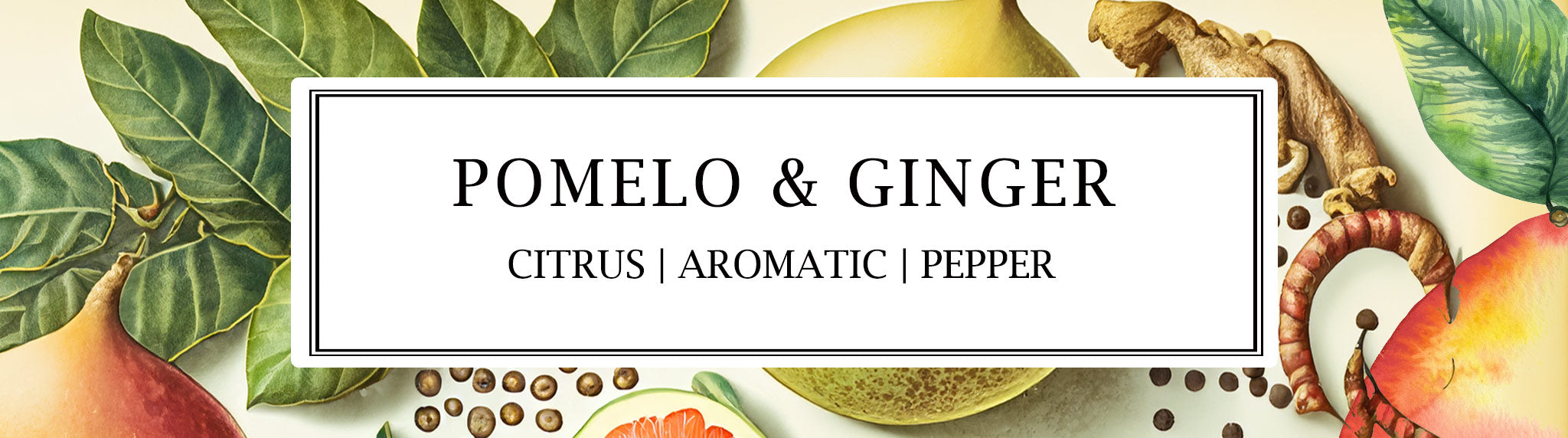 Parkminster's Pomelo & Ginger oils have citrussy, grapefruity top notes paired with the peppery, pungent, aromatic, and warm notes of ginger | SCENTED CANDLES | DIFFUSERS | ROOM MISTS