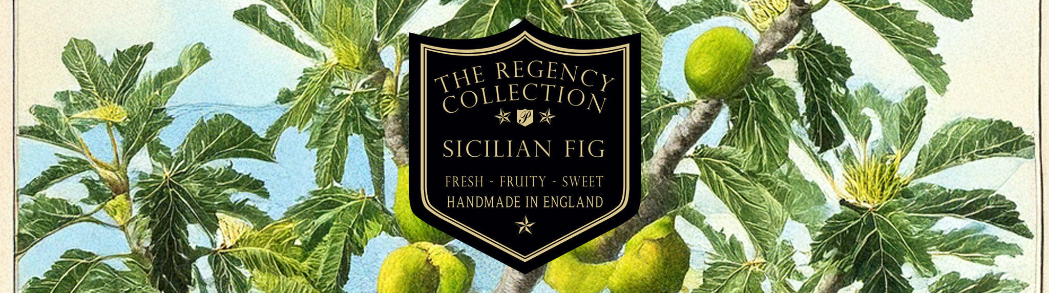 Sicilian Fig fragrance from Parkminster’s Regency Collection with hand-made soy wax candles, reed diffusers, and room mists, featuring fresh, fruity, and floral notes.