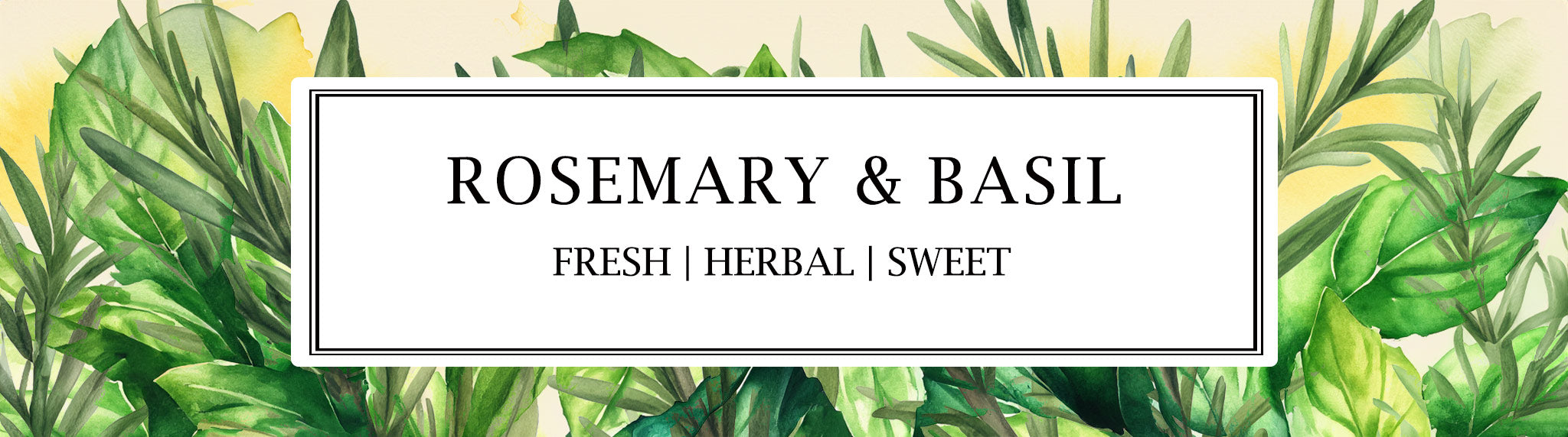 Parkminster's Rosemary & Basil fragrance, inspired by our Cornish kitchen garden. This delightful blend features the invigorating scent of rosemary complemented by the sweet, herbaceous notes of basil.