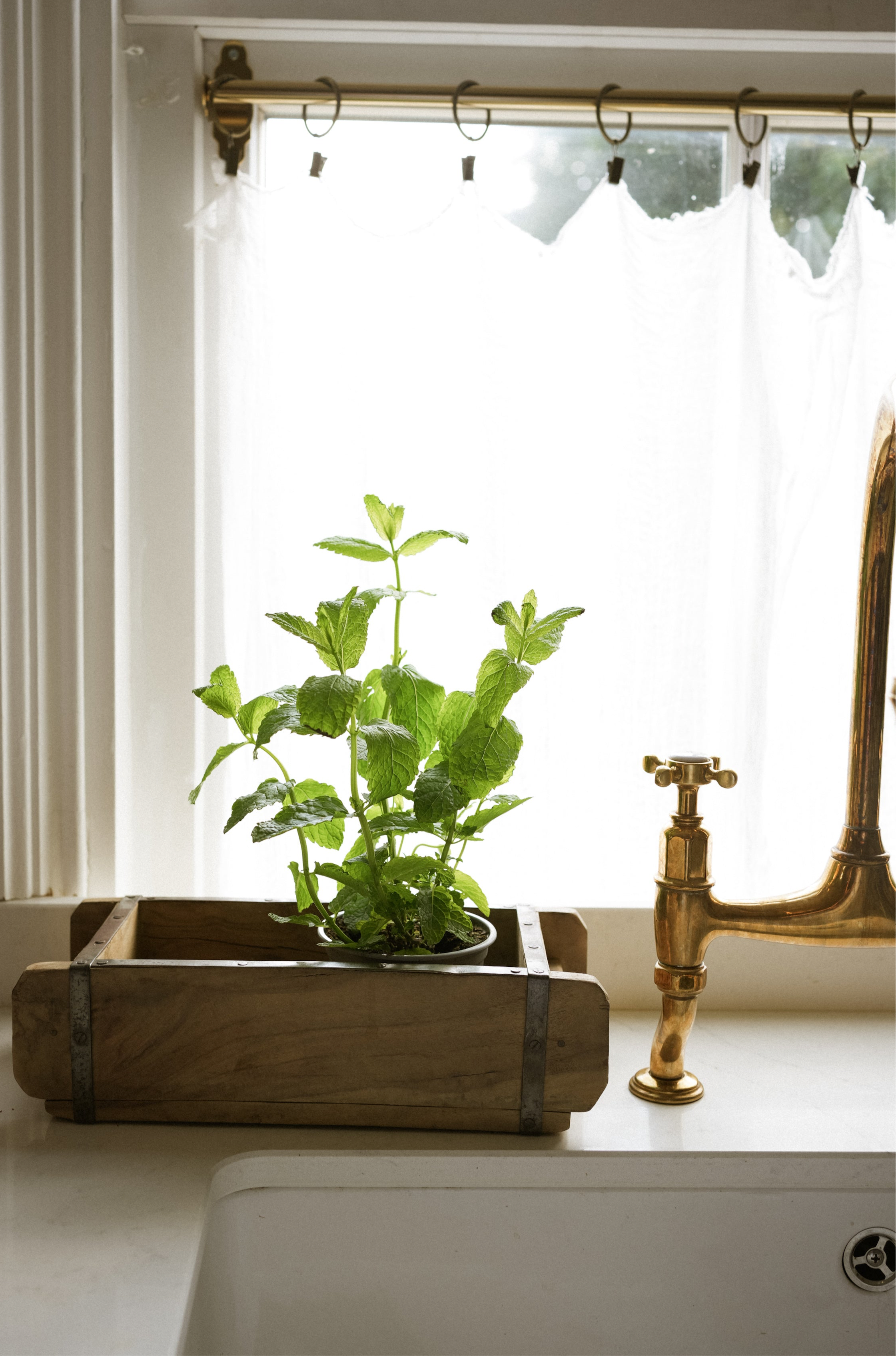 The Breakfast Collection Small Oval Platter - Terracotta home decor piece curated by Parkminster Living