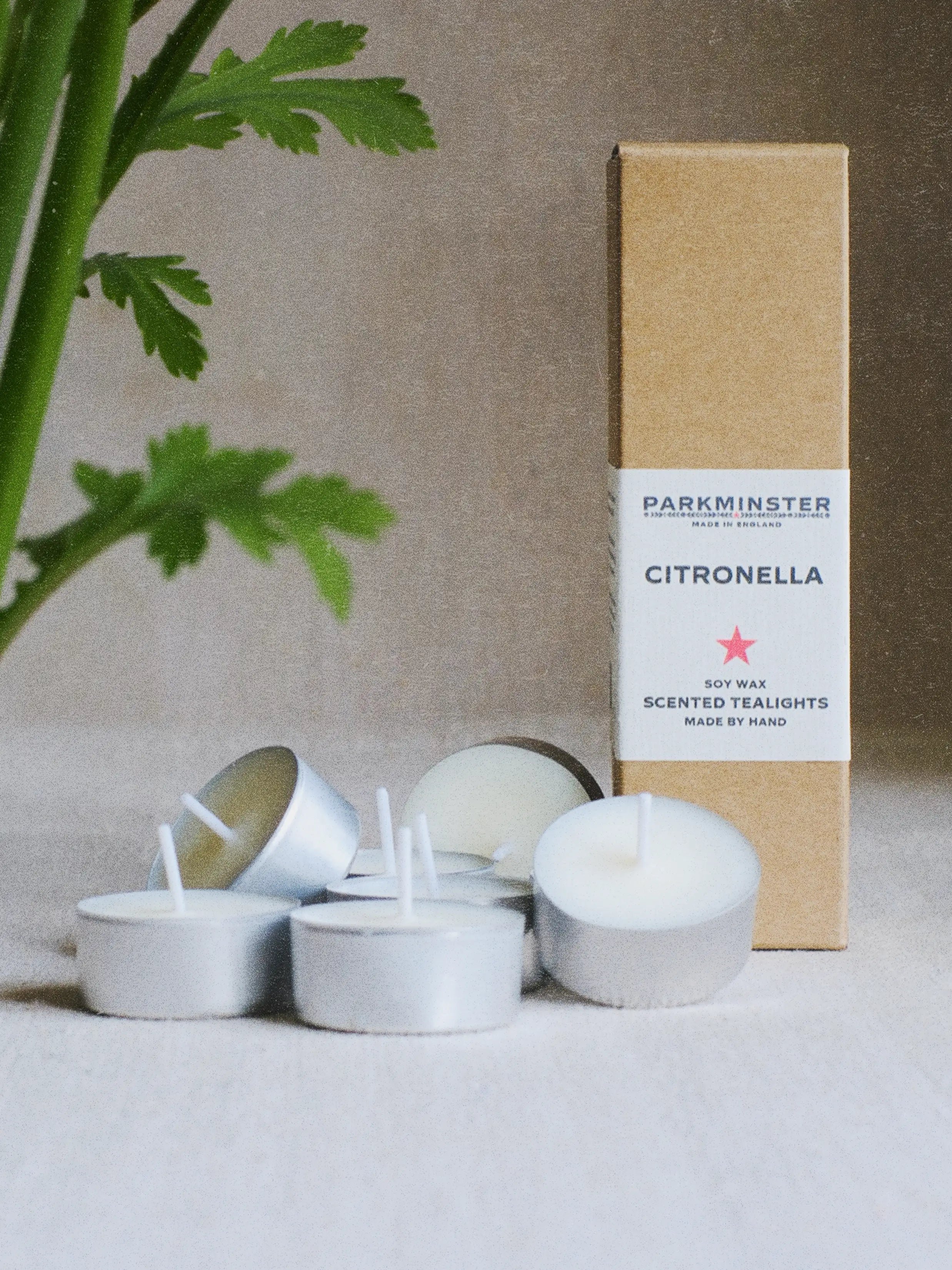 Citronella scented tealights made from soy wax, shown alongside fresh citronella leaves, highlighting their natural, zesty fragrance and outdoor bug-repelling use.