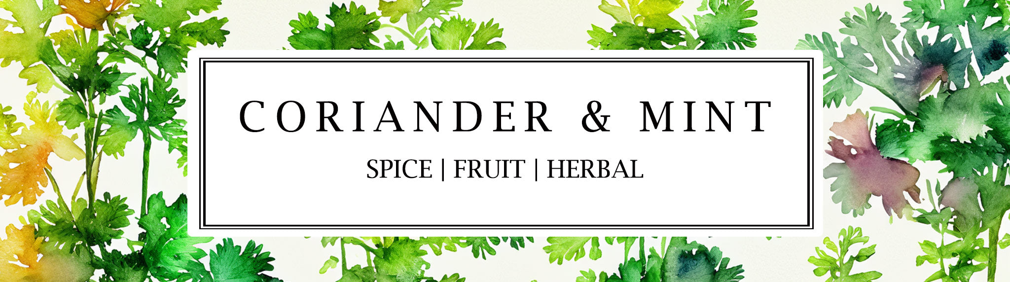 Parkminster Coriander & Mint Mini Scented Candle – a fresh, invigorating blend of coriander and mint, made with 100% essential oils in our exclusive Candela range.