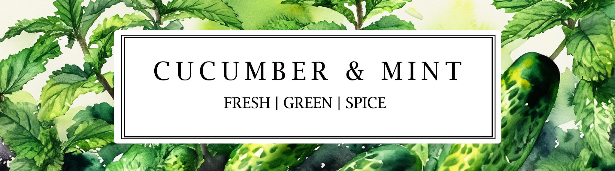 Cucumber & Mint fragrance collection featuring hand-made soy wax candles, reed diffusers, and room mists with refreshing cucumber and invigorating mint notes.