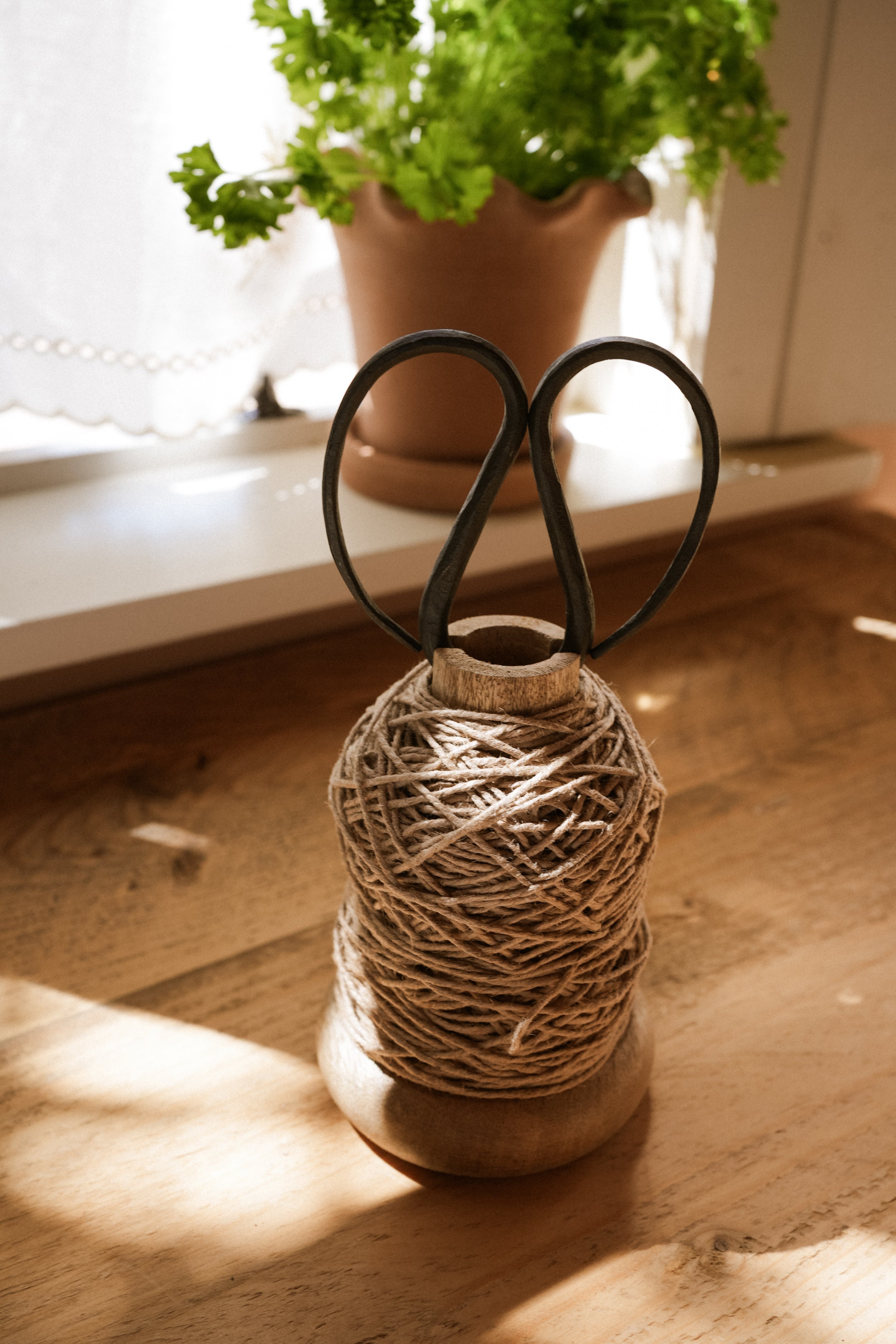 Pleated Striped Shade home decor piece curated by Parkminster Living