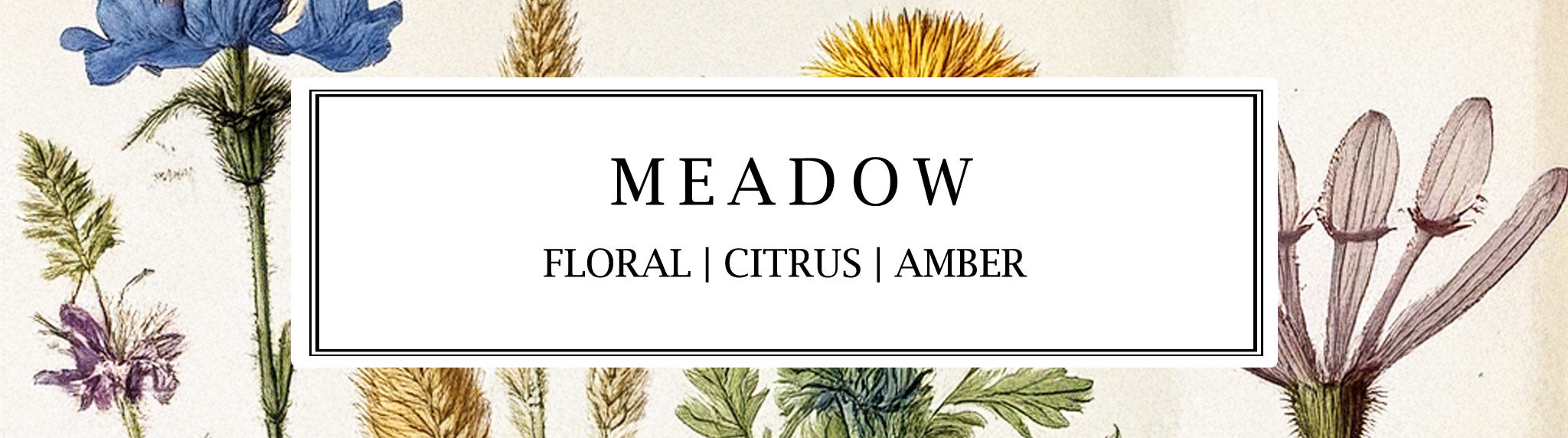 Meadow fragrance collection with hand-made soy wax candles, reed diffusers, and room mists, featuring floral, citrus, and amber notes for a tranquil atmosphere. Parkminster