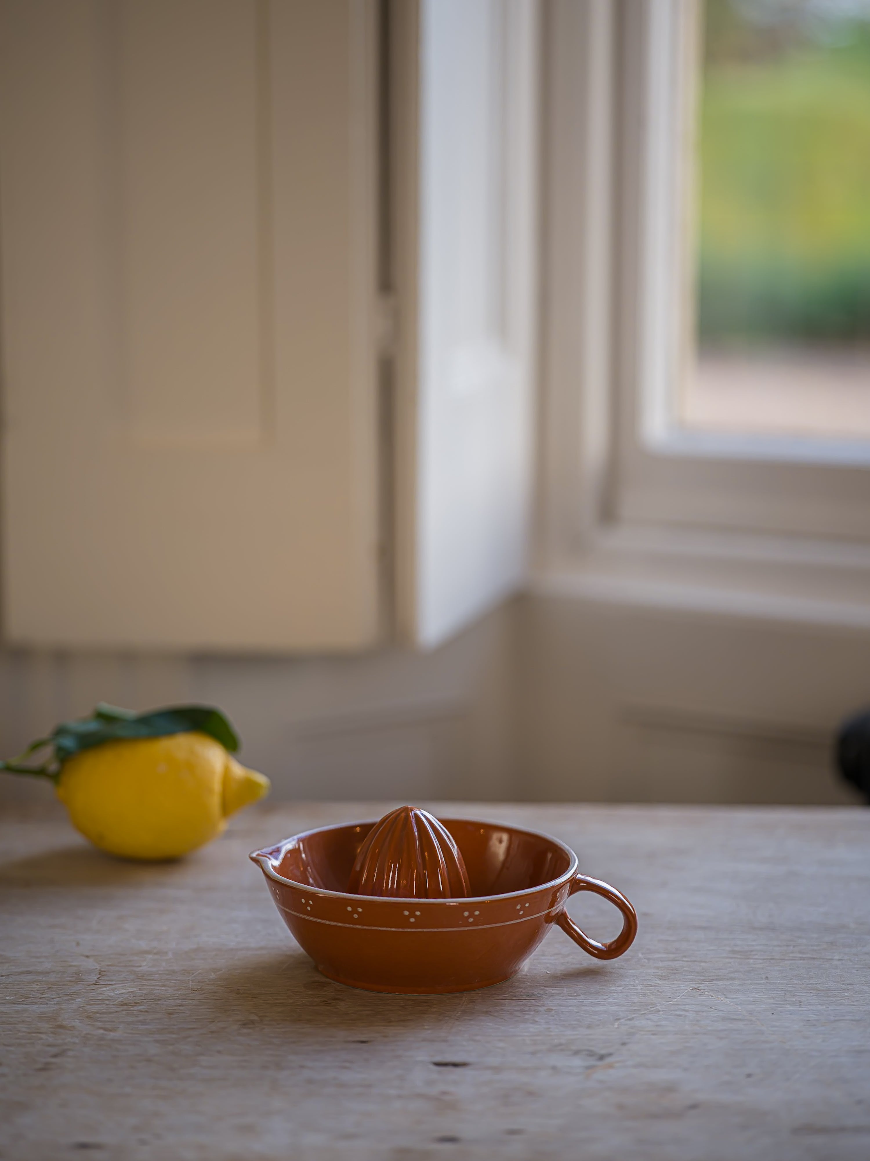The Breakfast Collection Juicer - Terracotta curated home decor piece by Parkminster Living