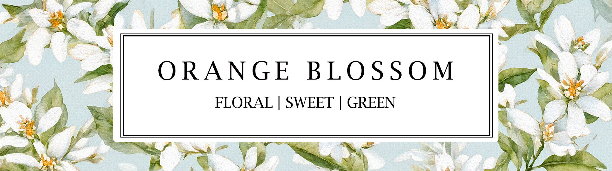 Orange Blossom soy wax candles and reed diffusers by Parkminster, handcrafted with natural, plant-based ingredients for a fresh, floral home fragrance.