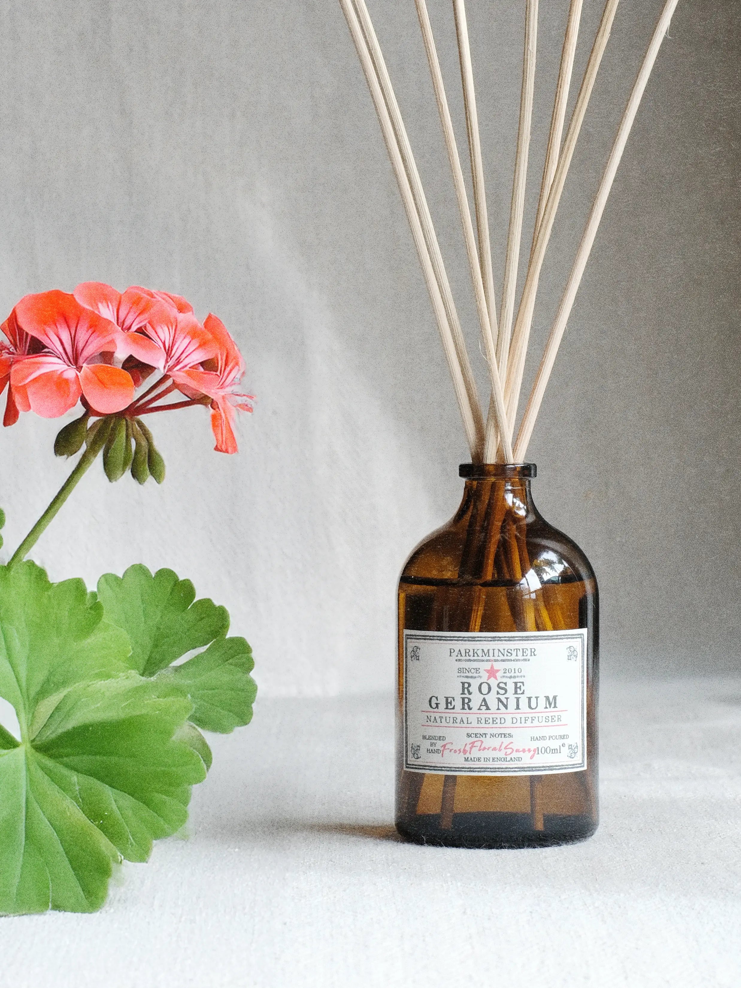 a Rose geranium Reed Diffuser with natural botanical floral home fragrance by Parkminster