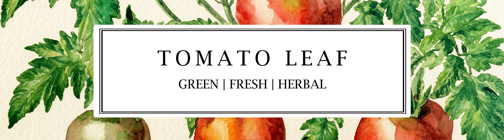 Tomato Leaf fragrance collection with hand-made soy wax candles, reed diffusers, and room mists, featuring fresh, green, and herbal notes for a crisp, botanical scent.