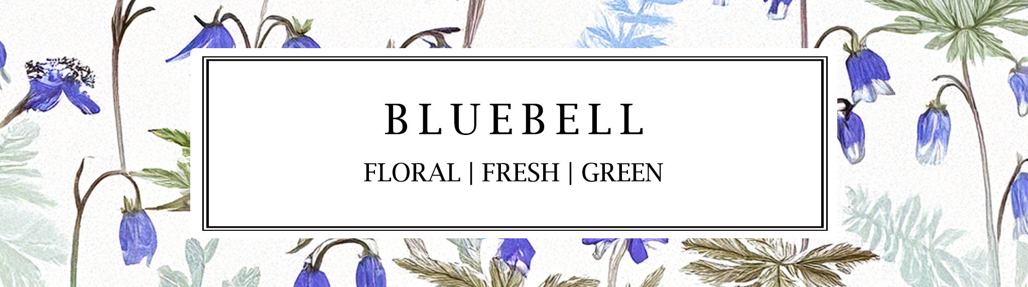 Parkminster Bluebell soy wax candles and reed diffusers – a fresh, floral home fragrance inspired by spring woodlands. Handmade in England with natural ingredients.