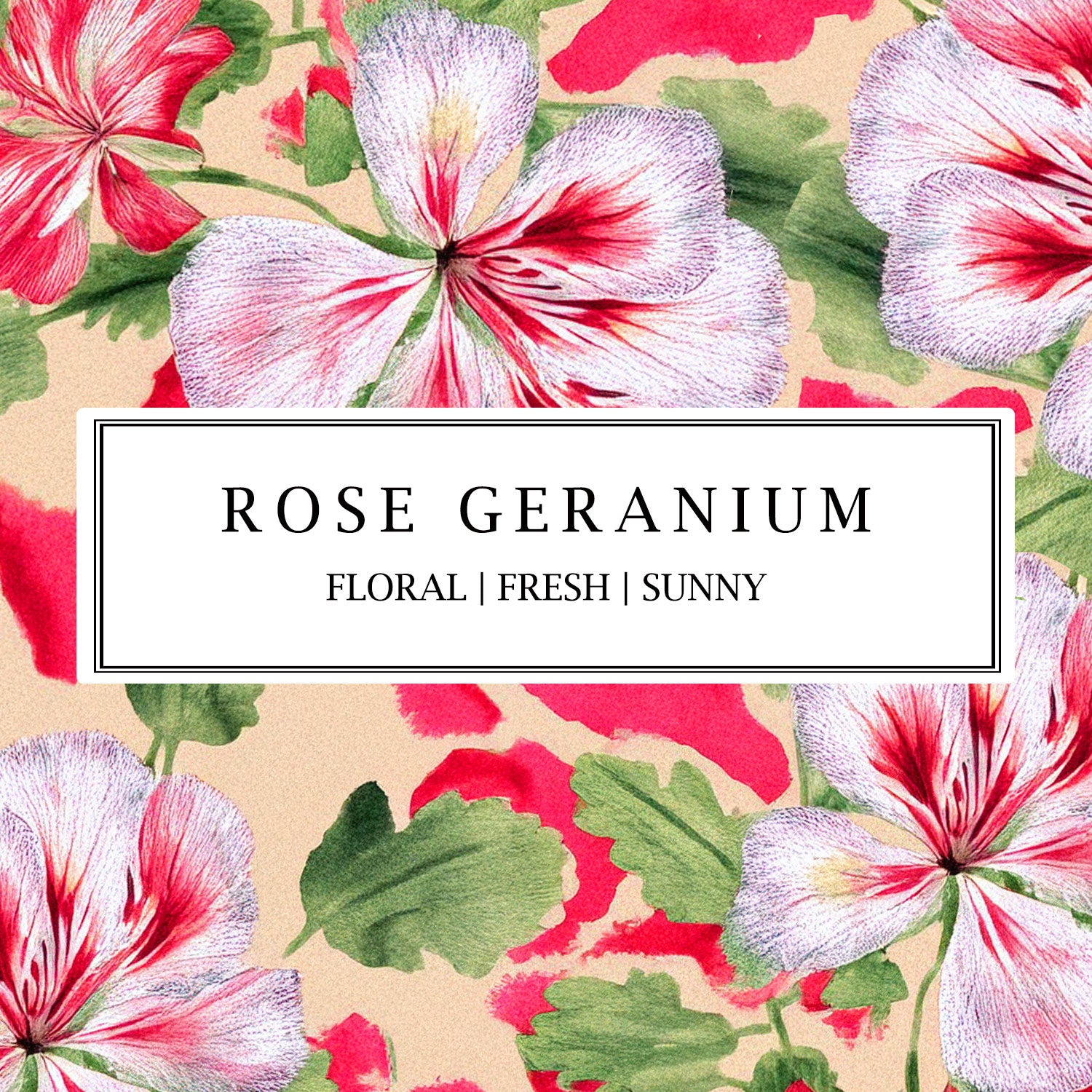 Rose Geranium botanical fragrance by Parkminster – a natural home fragrance with floral and herbal notes, crafted for a fresh and uplifting scent.