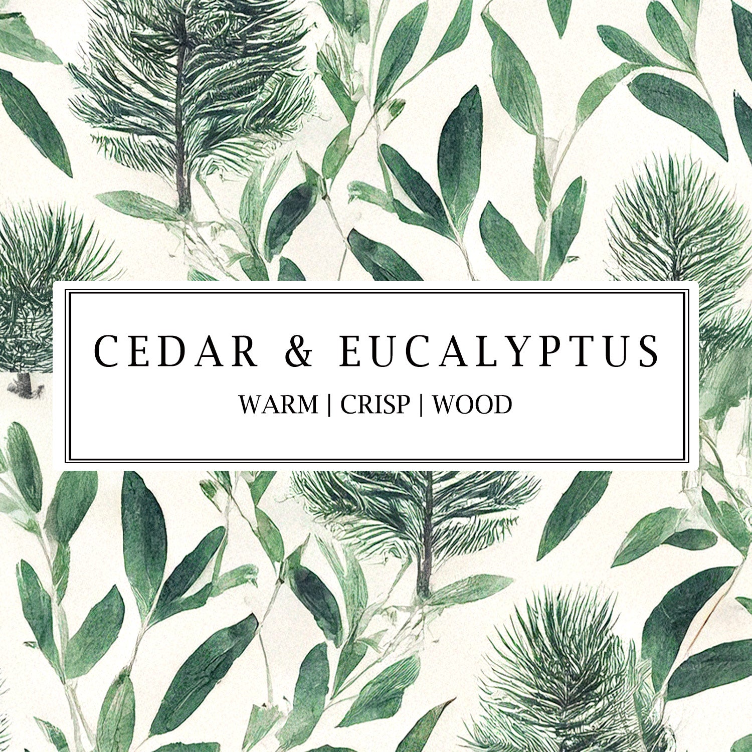 Cedar & Eucalyptus Candela mini candle by Parkminster, blending natural cedarwood and eucalyptus essential oils for a pure, botanical home fragrance.