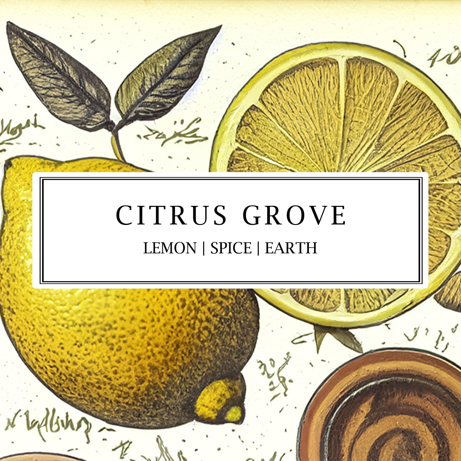 Citrus Grove by Parkminster - A fresh, sunlit blend of zesty lemon, juicy grapefruit, and crisp bergamot, capturing the essence of a Mediterranean citrus grove.