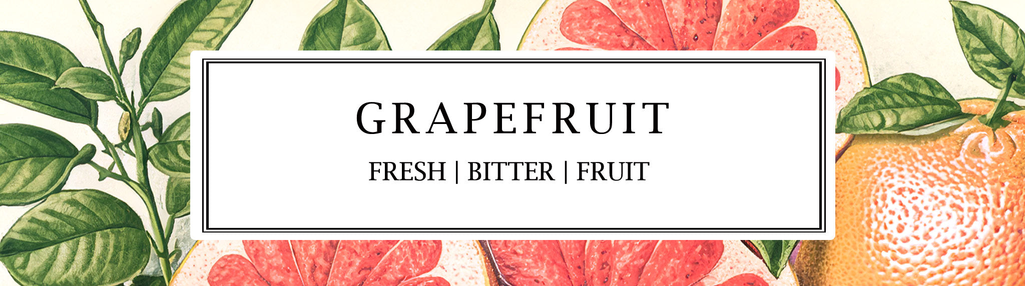 Natural grapefruit reed diffuser with a bright, zesty citrus aroma—made with plant-based ingredients for a fresh, long-lasting home fragrance.