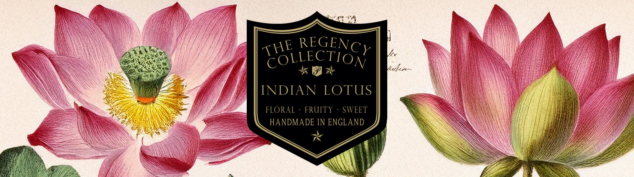 Indian Lotus botanical home fragrance – a luxurious scent from Parkminster’s Regency Collection, evoking the elegance of the Grand Tour.