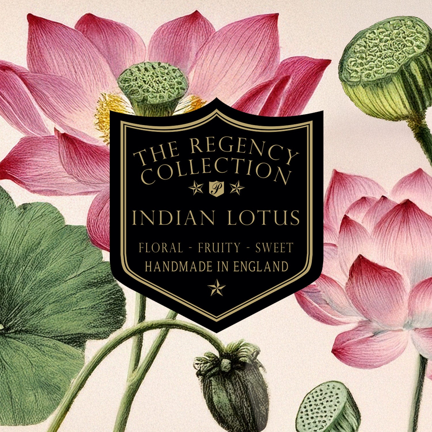 Indian Lotus fragrance from Parkminster’s Regency Collection – a natural, botanical home fragrance inspired by India’s water gardens.