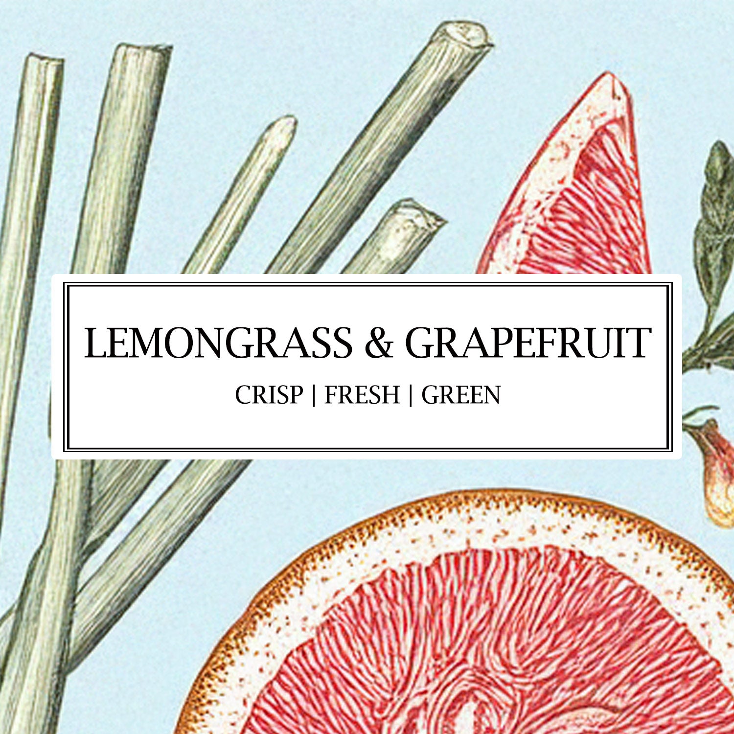 Handmade Lemongrass & Grapefruit Soy Wax Mini Candles by Parkminster – A Natural, Botanical Home Fragrance with 100% Essential Oils.