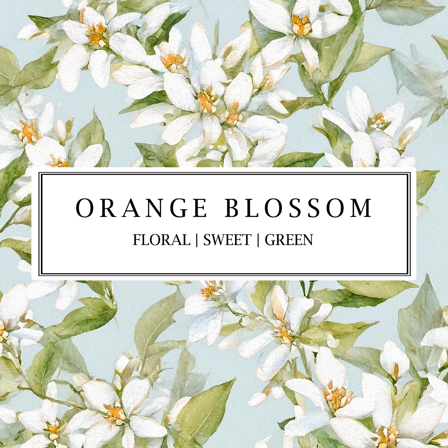 Handmade Orange Blossom soy candles, room mists, and reed diffusers, crafted by Parkminster with natural ingredients for a fresh, botanical home fragrance.