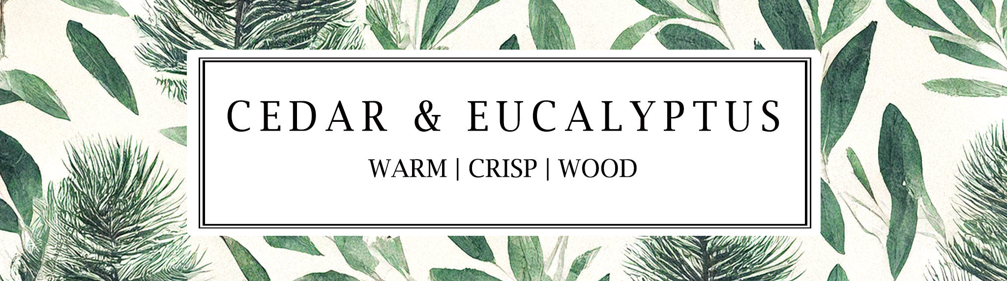 Parkminster Cedar & Eucalyptus soy wax candle, hand-poured with 100% essential oils for a refreshing, grounding home fragrance. Made in England.