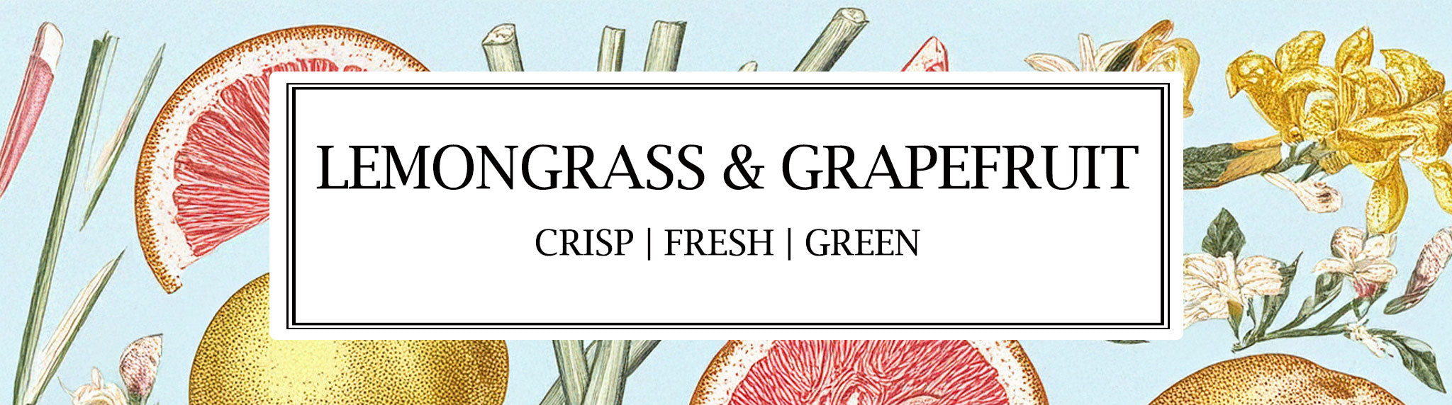 Parkminster Lemongrass & Grapefruit Soy Wax Candles – Fresh, Botanical Home Fragrance with Pure Essential Oils.