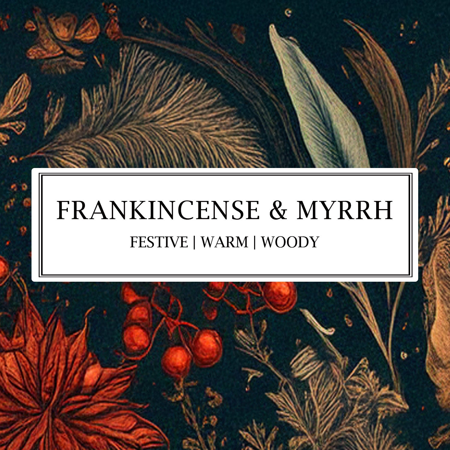 Parkminster Frankincense & Myrrh natural fragrance with resinous woods, citrus, and aromatic spices in a warm, festive Christmas scent.