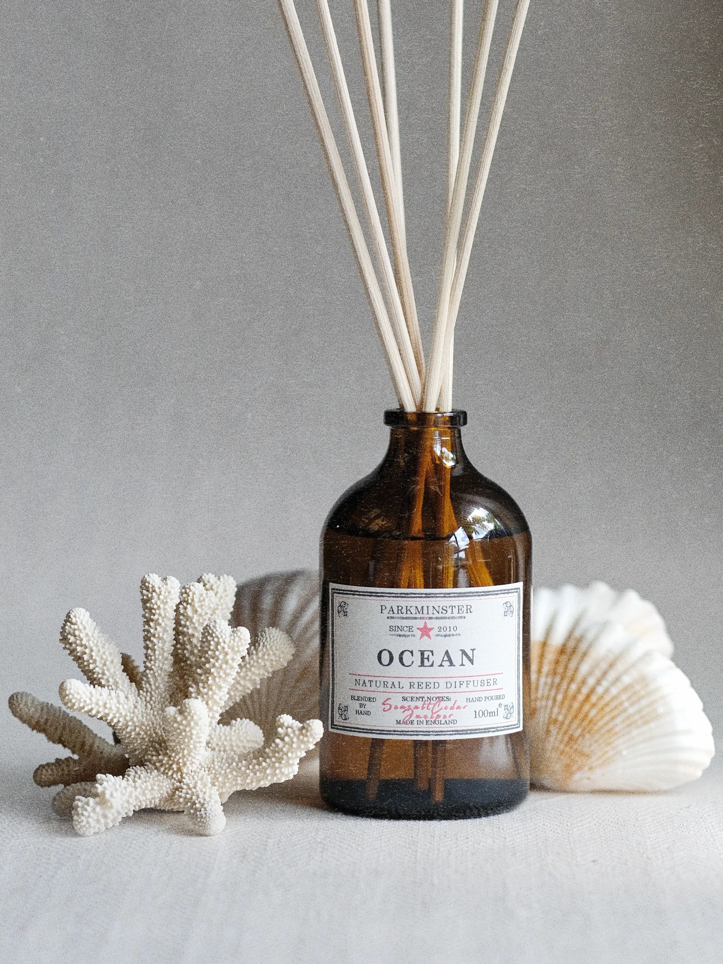 a Parkminster Ocean scented Reed Diffuser 100ml with a fresh coastal sea salt fragrance and plant-based base inspired by the ocean