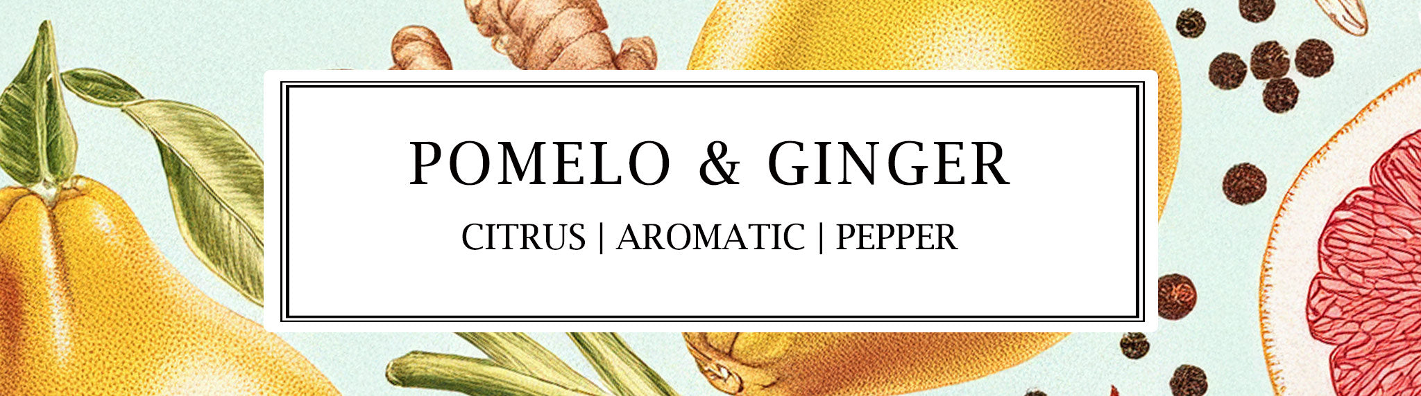 Parkminster’s Pomelo & Ginger home fragrance collection, featuring soy wax candles, reed diffusers, and room mists with a fresh, zesty, and energising scent.