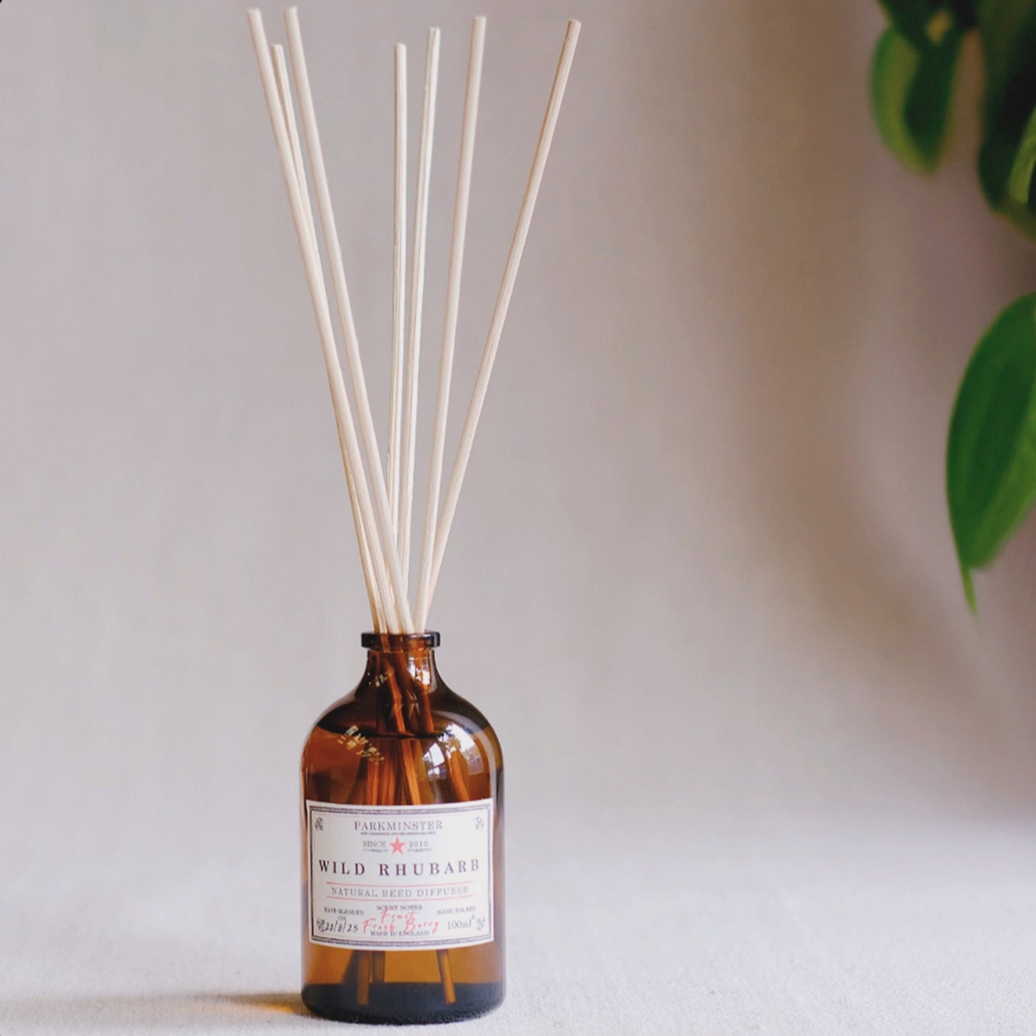 Parkminster Star Collection 100ml amber glass reed diffusers – stylish natural reed diffusers, hand-blended and made to order for authentic home fragrance