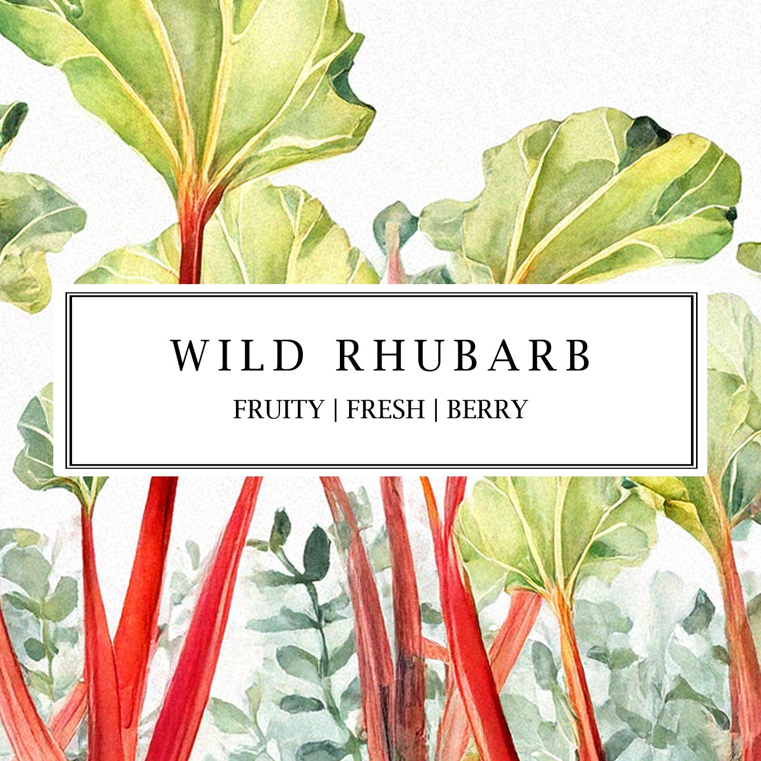 Natural soy candles and reed diffusers with Wild Rhubarb fragrance—fresh, fruity, and plant-based home fragrance made in England.