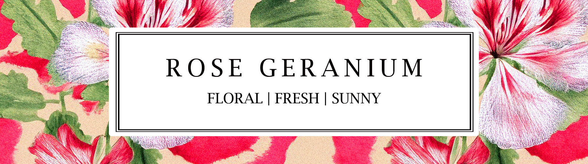 Parkminster’s natural Rose Geranium botanical fragrance – a blend of rose, geranium leaf, and citrus, available in our home fragrance collection.