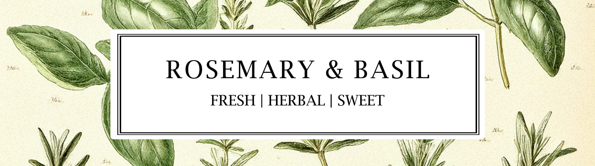 Parkminster Rosemary & Basil collection featuring a natural soy candle, botanical reed diffuser, diffuser refill, and room mist—crafted with 100% essential oils.