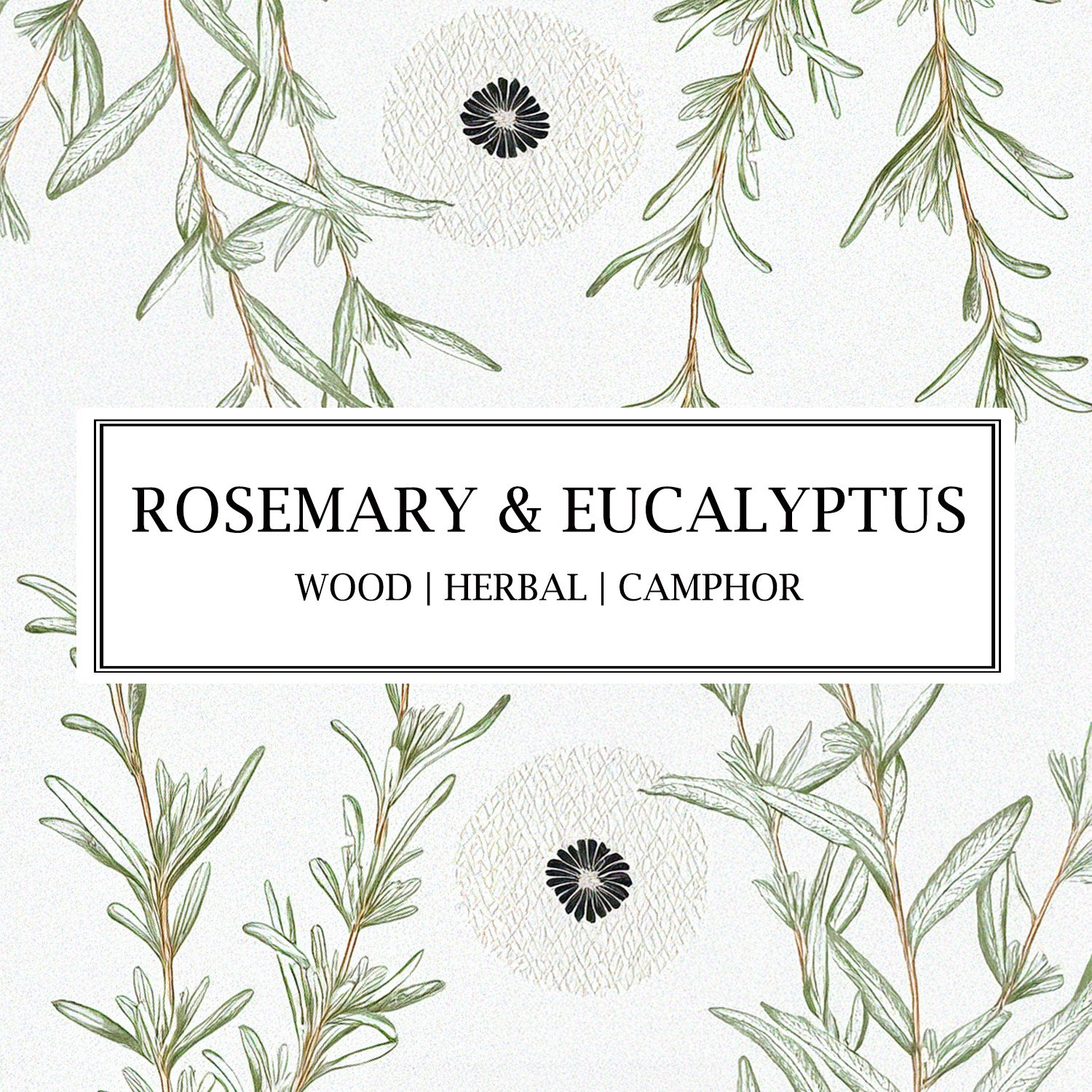 Parkminster Rosemary & Eucalyptus bath salts and body scrub, infused with 100% natural essential oils, perfect for a rejuvenating botanical bath experience.