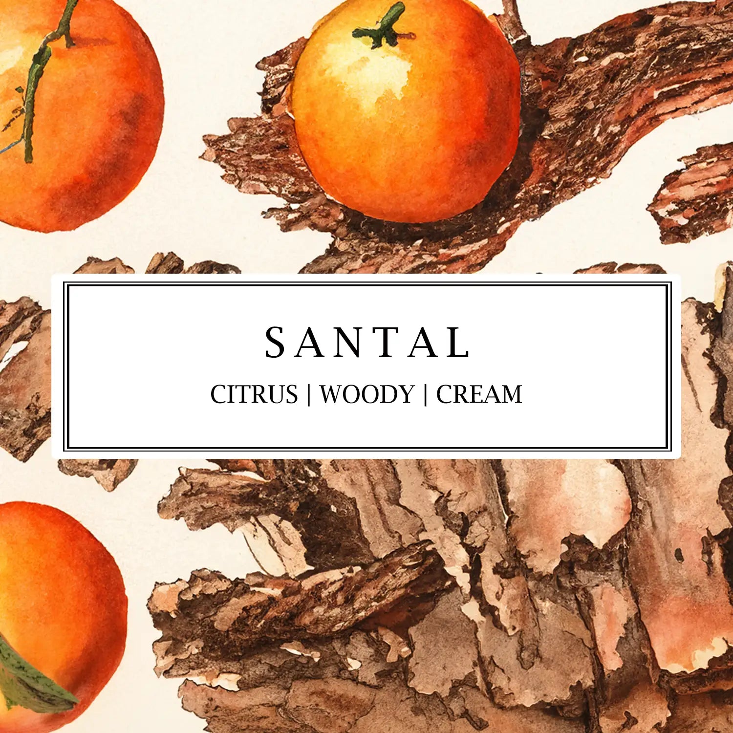 Parkminster Santal natural fragrance collection with citrus woody cream scent notes evoking a calm warm and elegant home ambience inspired by modern slow living