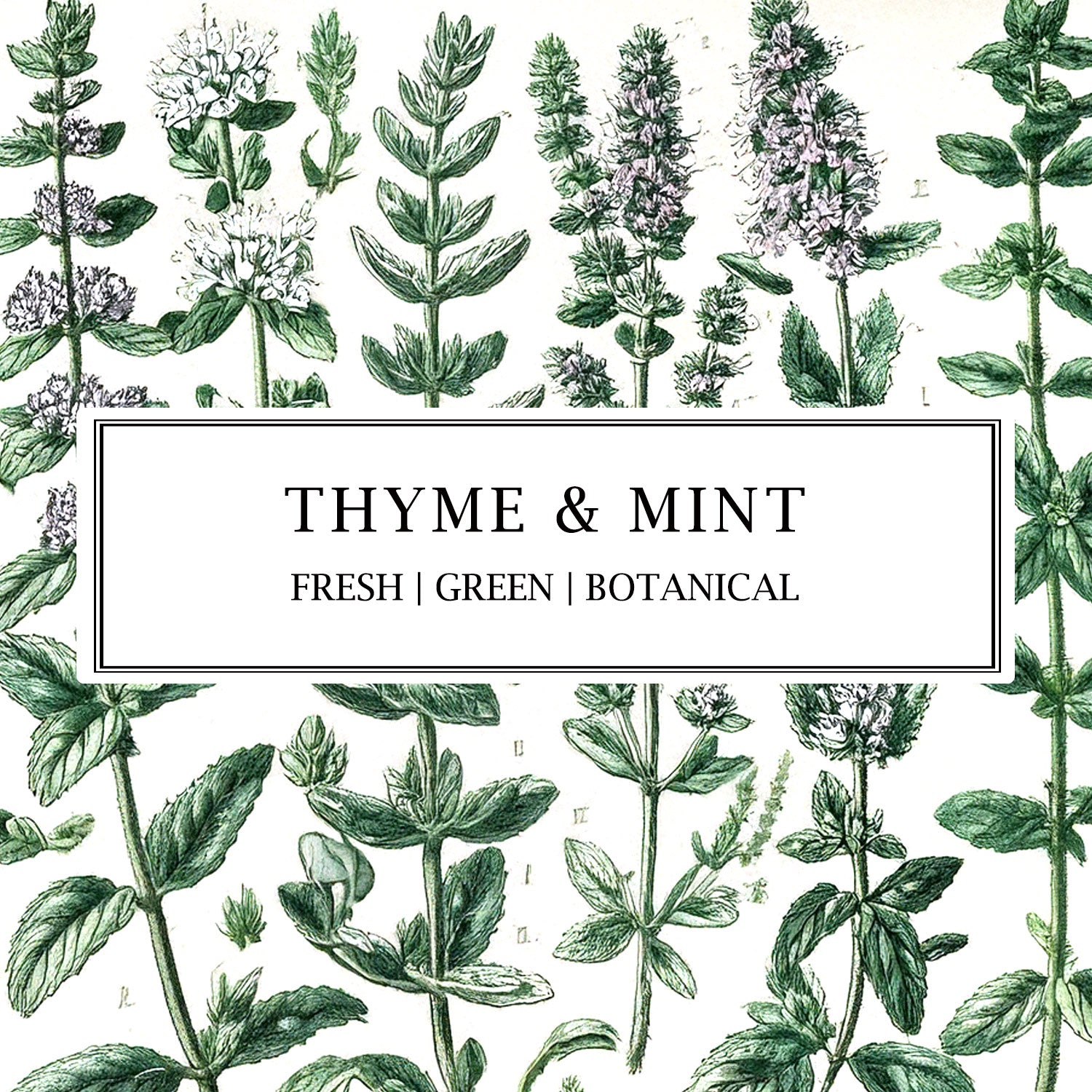 Thyme & Mint soy wax candle, natural reed diffuser, and room mist—handcrafted for a fresh, botanical home fragrance.