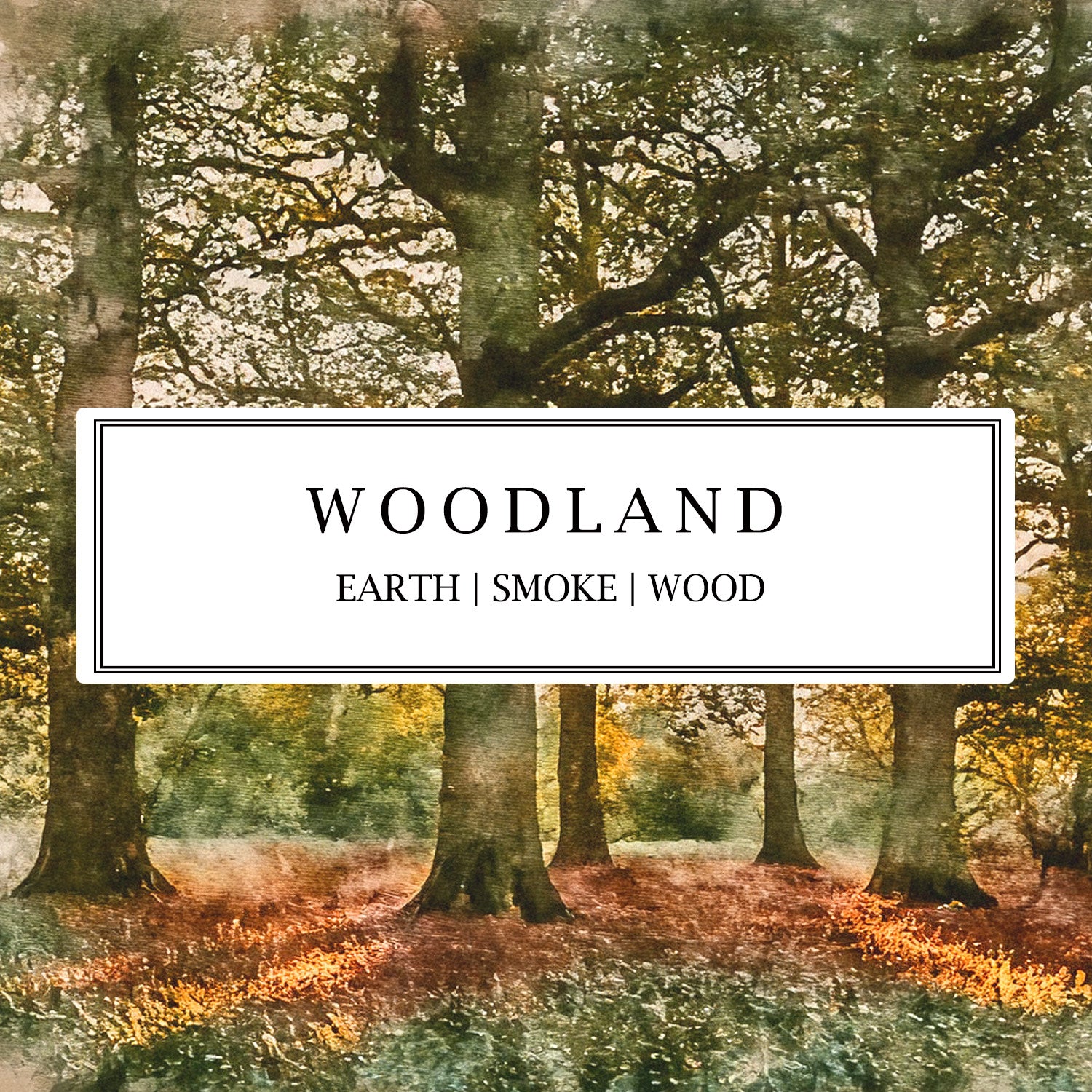 Woodland fragrance natural soy wax candles by Parkminster with earthy oak, smoky hickory, and damp leaves creating a grounding, autumnal atmosphere.