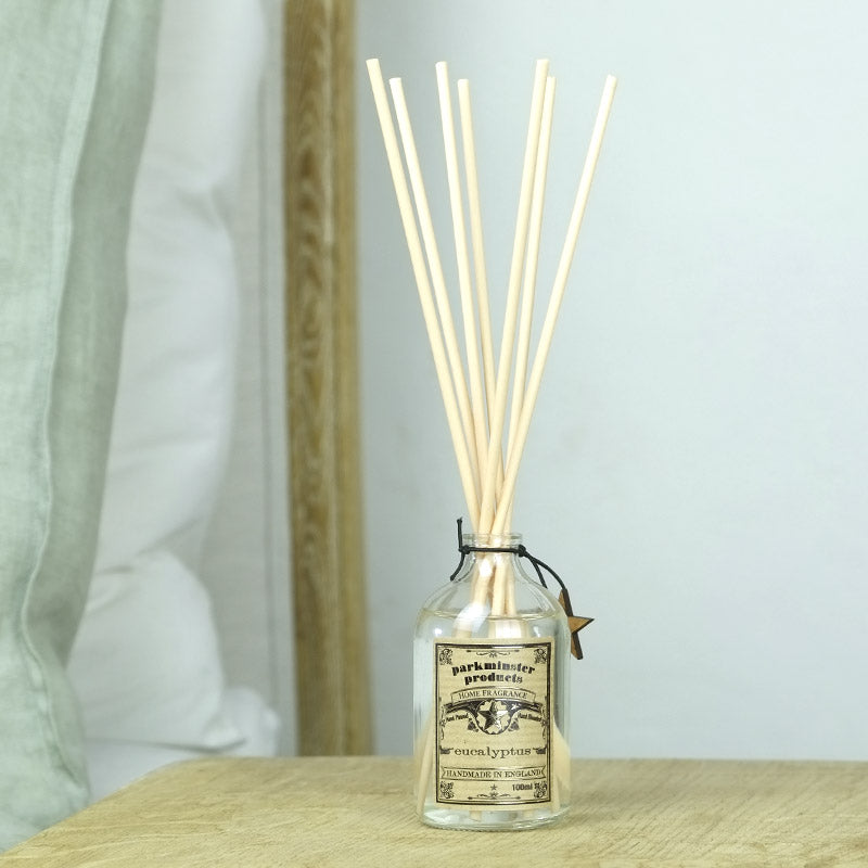 Eucalyptus scented Reed Diffuser 100ml 3.3fl oz Hand Blended and Hand Poured in Cornwall Sussex by Parkminster