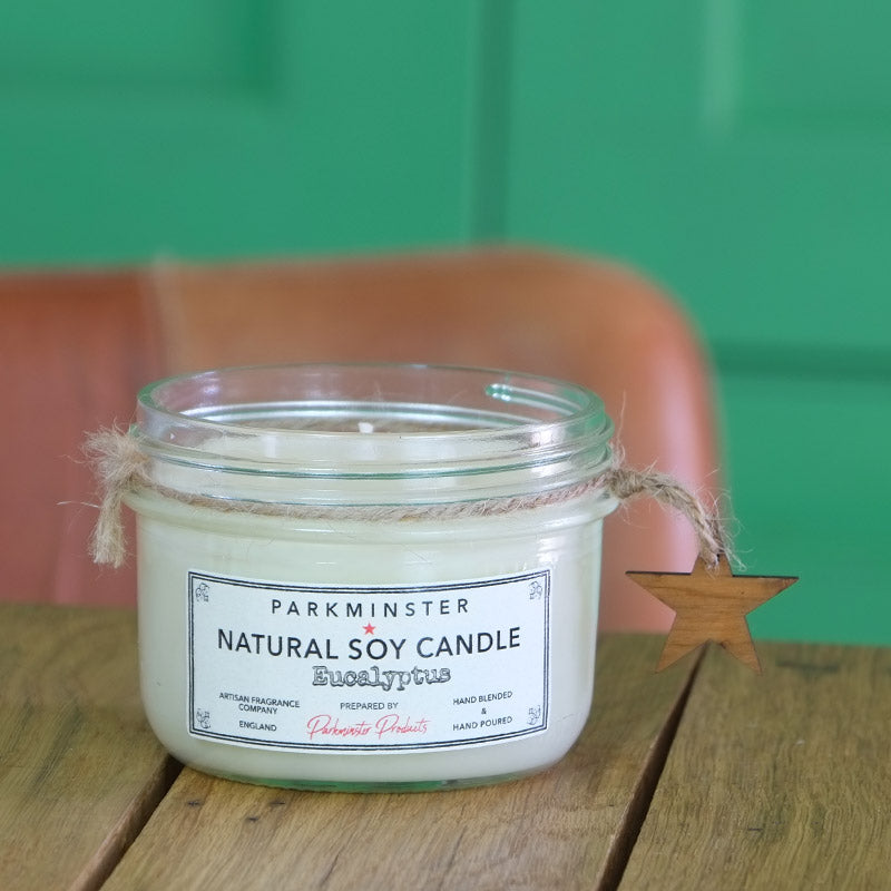 Parkminster Eucalyptus - Vintage Star Jar Candle - 280g / 9.8oz ℮