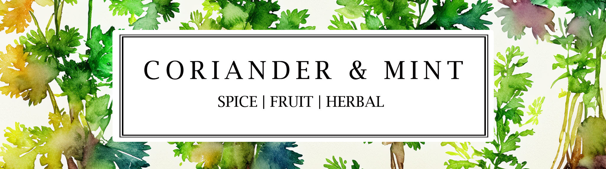 Experience the invigorating and stimulating essence of Parkminster's Coriander & Mint fragrance | Parkminster