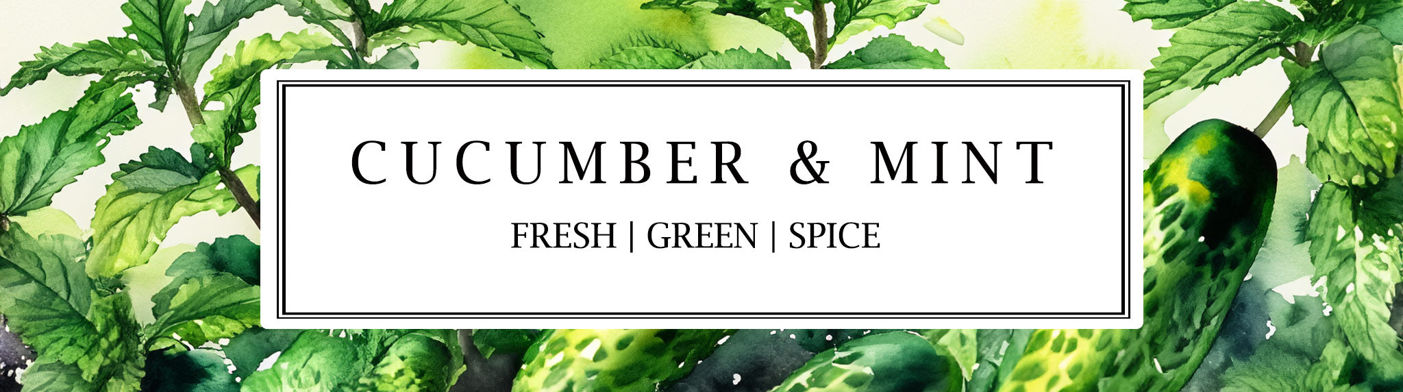 Parkminster's Cucumber & Mint Fragrance - A green, aqueous scent with a refreshing splash of sweet spice reminicent of summer picnics in the garden.