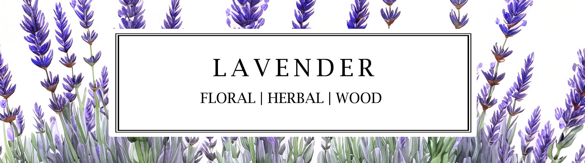 Made with 100% Essential Oils Parkminster's Lavender scent is sweet, floral & earthy.