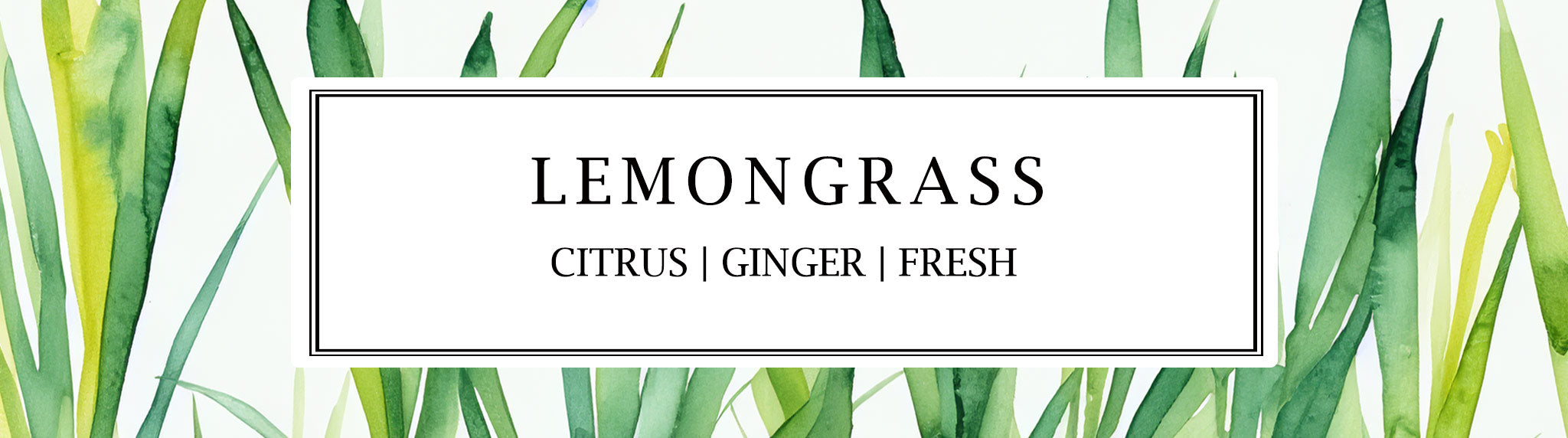 Discover an uplifting and invigorating fragrance with Parkminster's Lemongrass scented candles and reed diffusers | Parkminster Home Fragrance Co Made in Cornwall