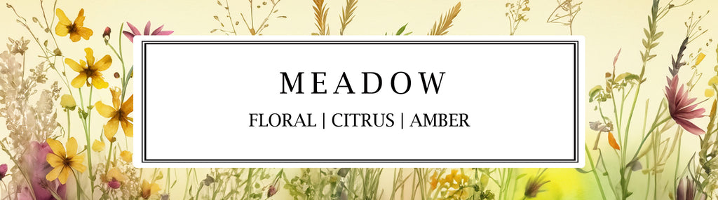 Turn your home into a tranquil sanctuary with the comforting scent of our natural blend of floral blooms, zesty citrus, warm amber, and delicate rose. Parkminster's Meadow fragrance