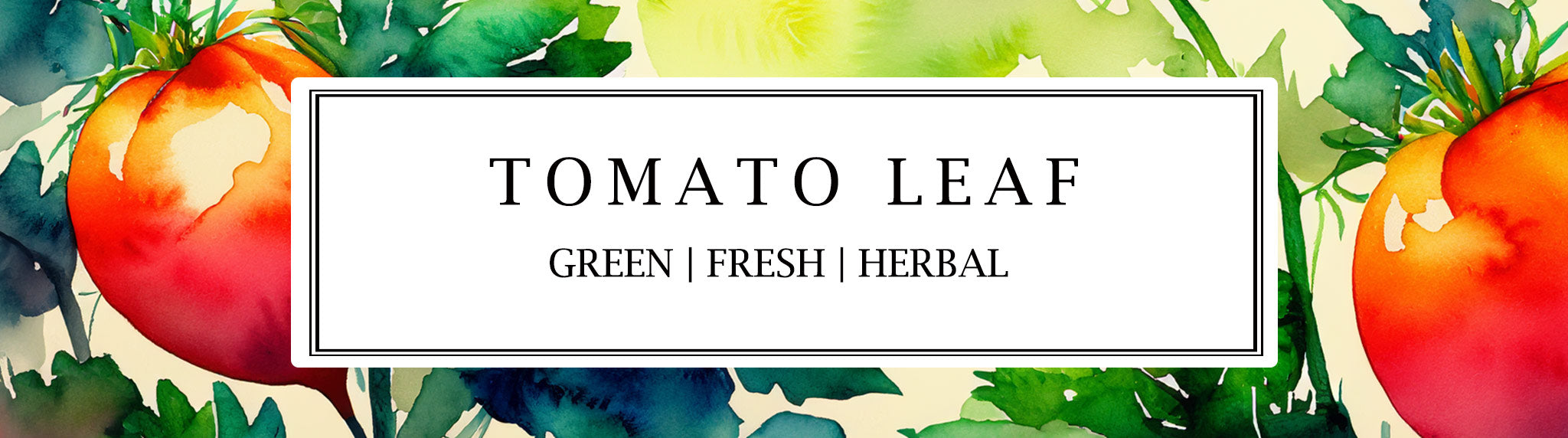 Parkminster's Tomato Leaf fragrance has a multitude of green, fresh, bitter-sweet, aromatic & herbal notes which are fresh and exciting.