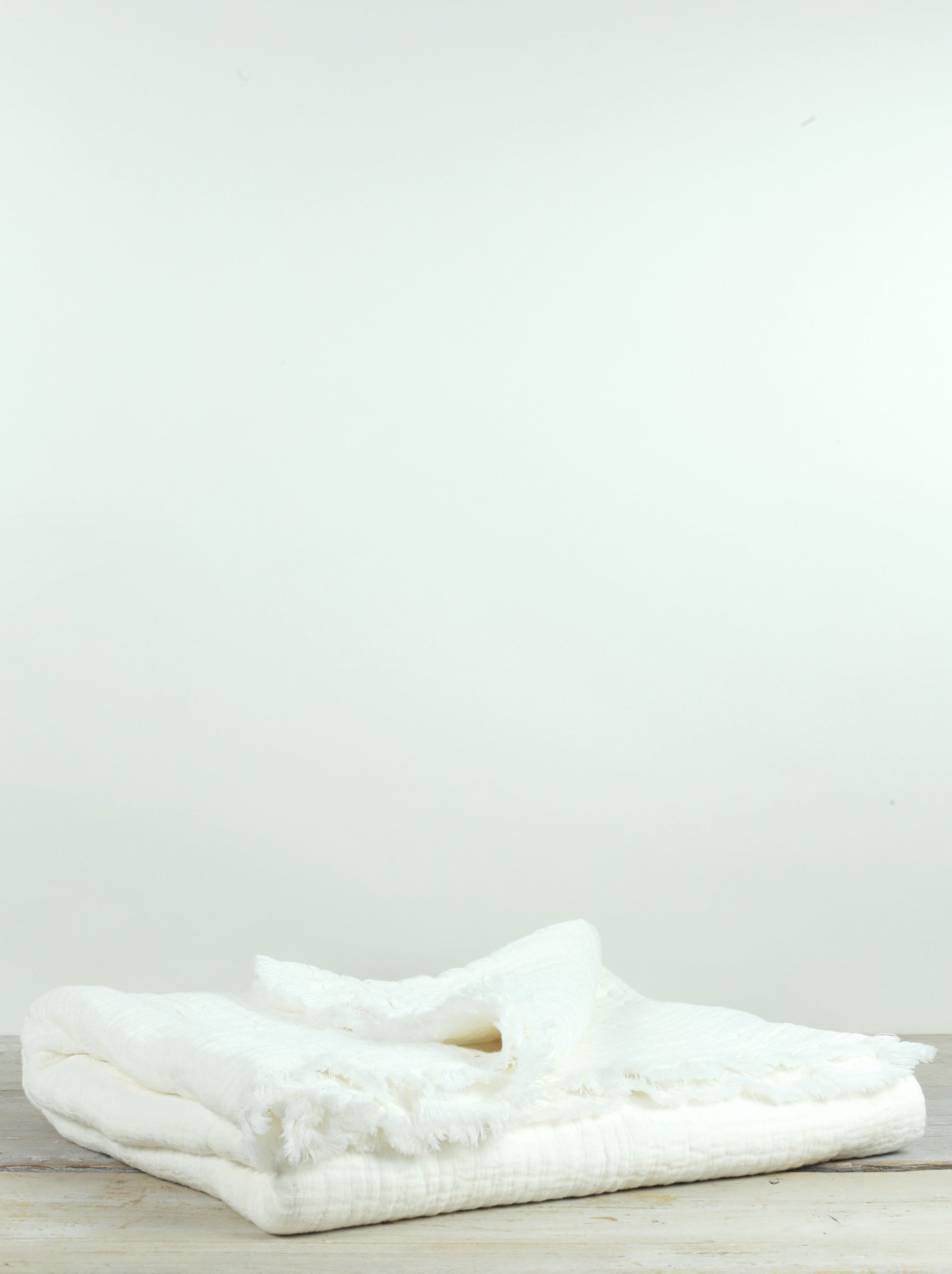 Hand Painted Botanic Snack Bowl - Ink home decor piece curated by Parkminster Living