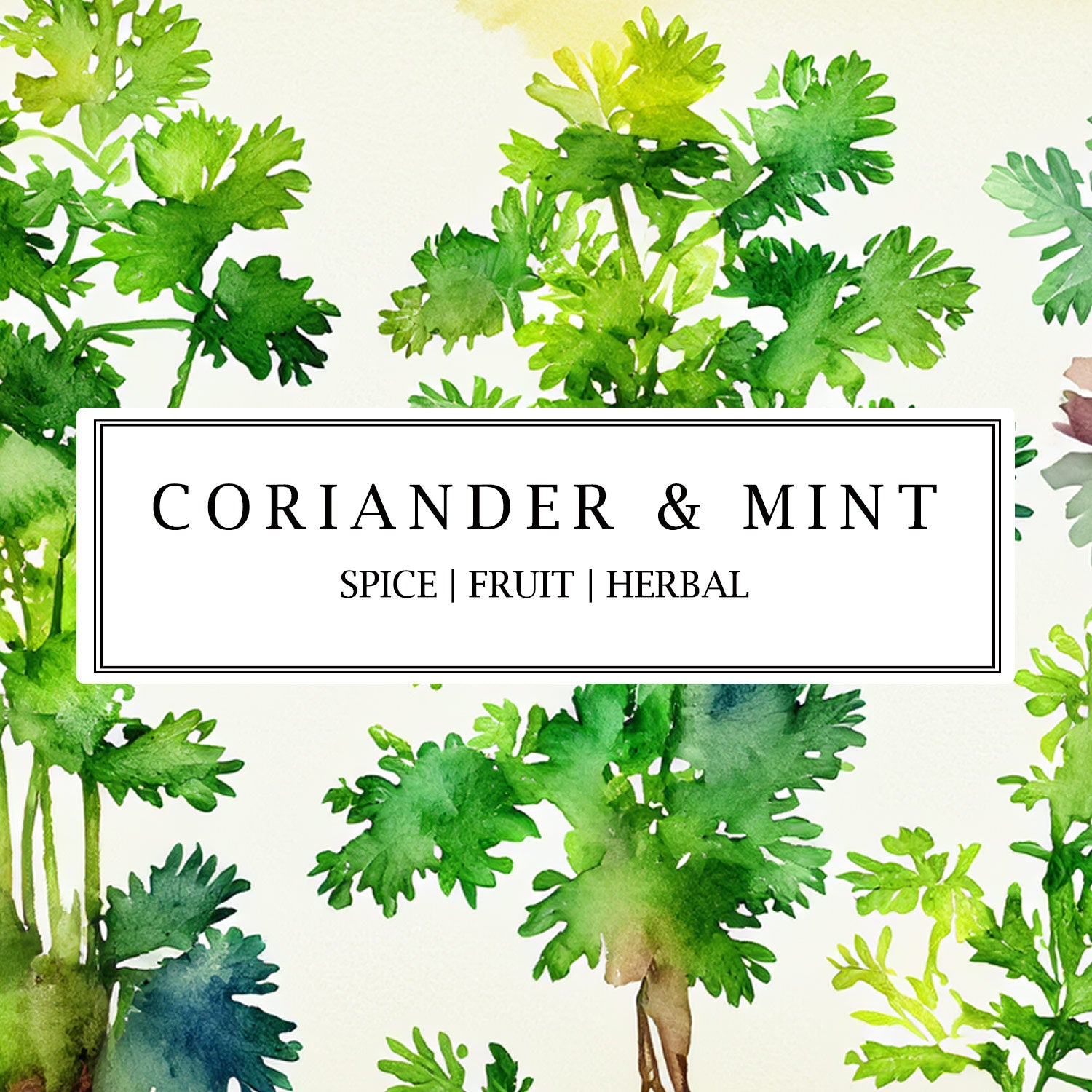 Parkminster Coriander & Mint Mini Scented Candle – a refreshing blend of coriander and mint, crafted with 100% essential oils for a revitalising, natural fragrance.